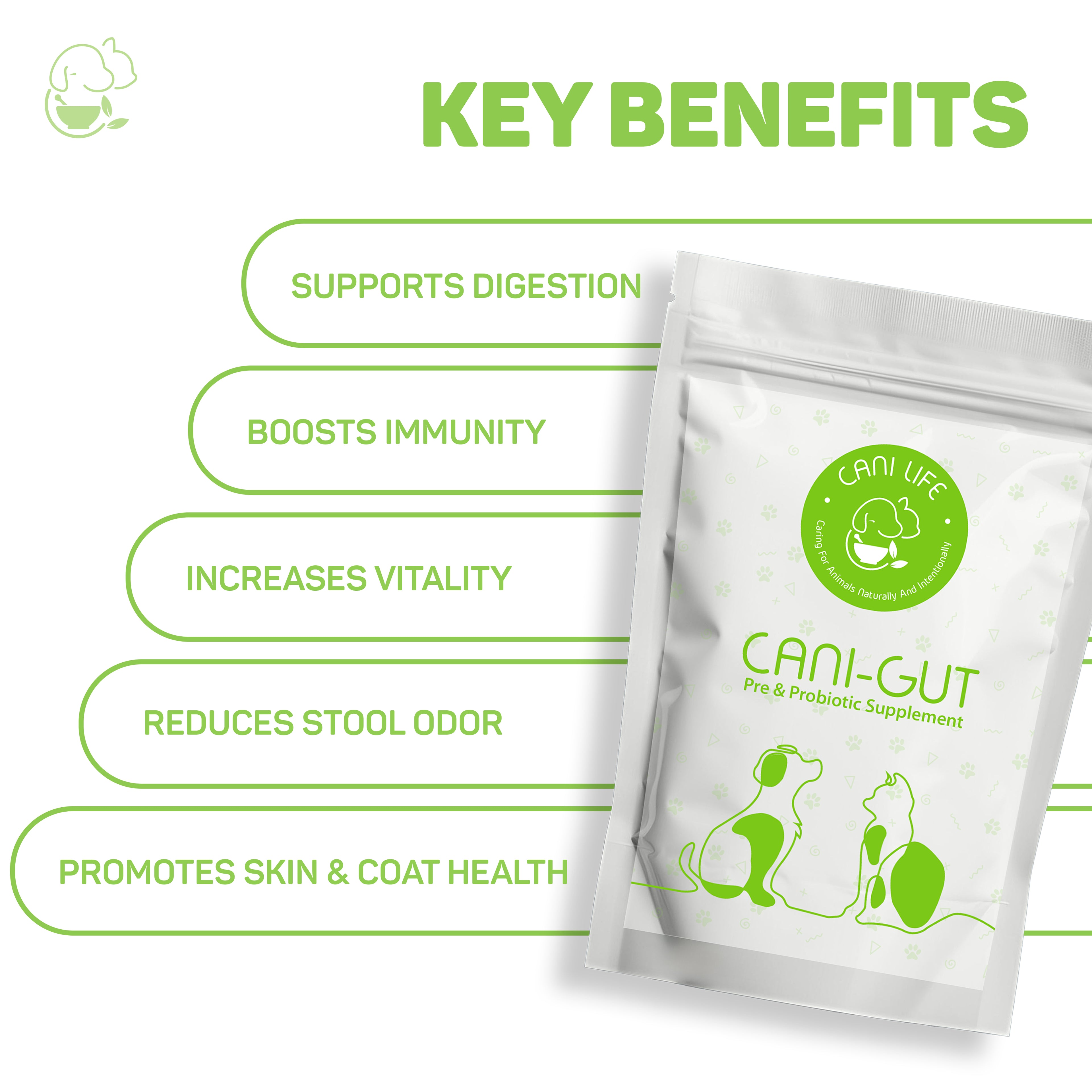 Cani Gut – Supports Healthy Digestion & Nutrient Absorption