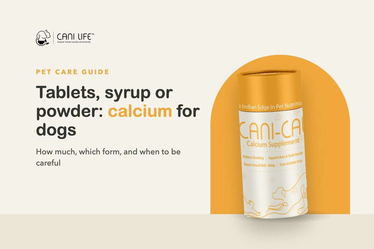 Calcium for Dogs: Does Your Dog Need It, and Should You Choose Tablets, Syrup or Powder?