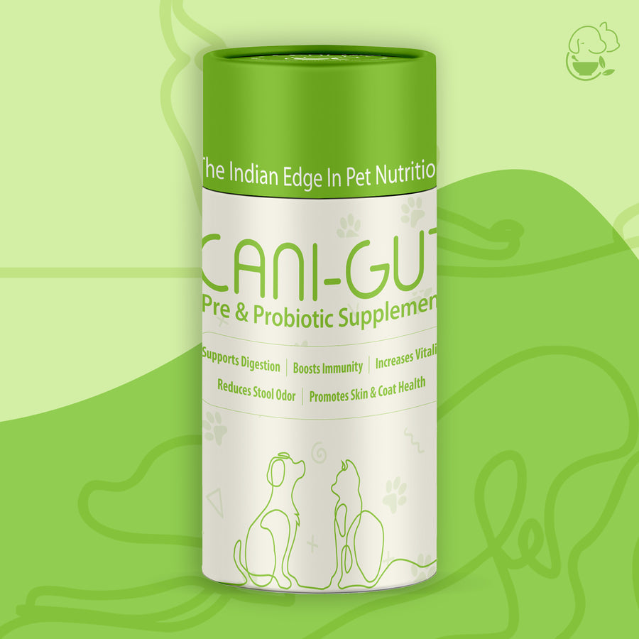Cani-Gut pre and probiotic powder for dogs and cats